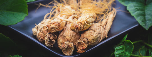 Mitä on Ginseng?