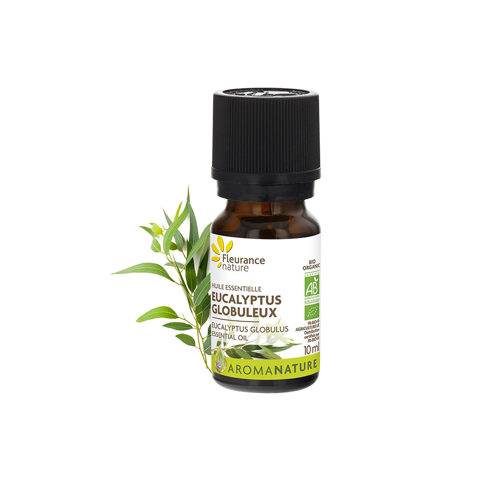 ÄTHERISCHES BIO-ÖL – GLOBULARER EUKALYPTUS 10 ml