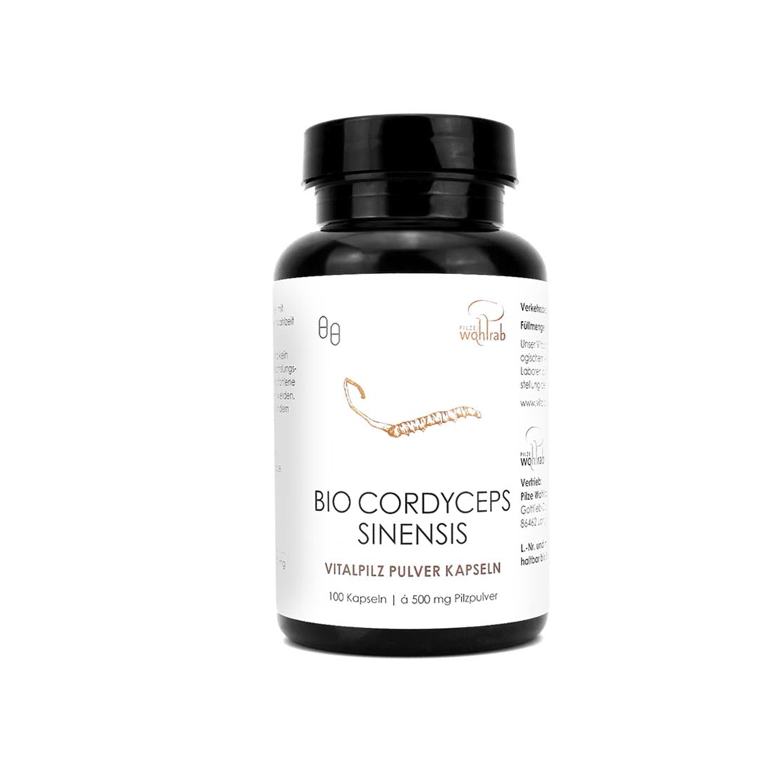 ORGANISCHES CORDYCEPS SINENSIS-PULVER – 100 KAPSELN