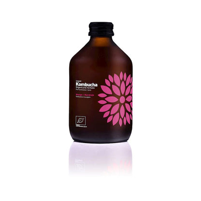 BIO-KOMBUCHA MANGO &amp; PASSION 330 ml